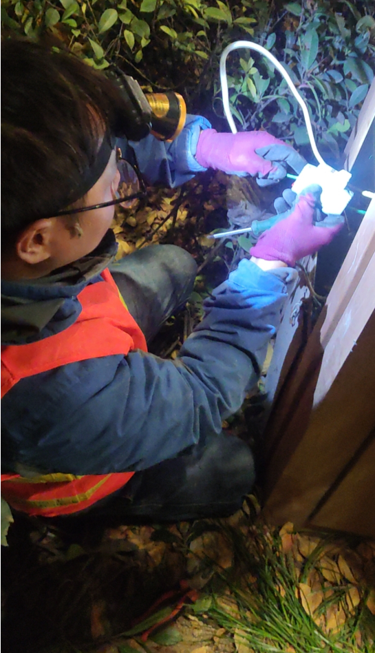 1605252421121537.png 1605252421121537.png