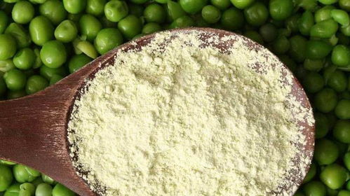 双塔食品豌豆蛋白将每年扩产20